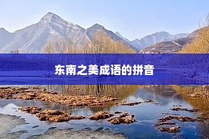 东南之美成语的拼音