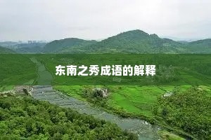 东南之秀成语的解释
