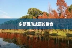 东飘西荡成语的拼音