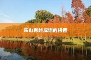 东山再起成语的拼音