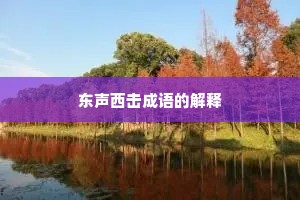 东声西击成语的解释