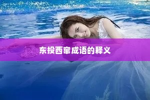 东投西窜成语的释义