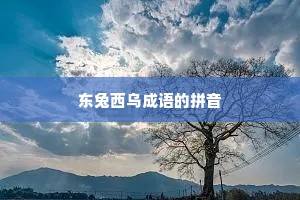 东兔西乌成语的拼音