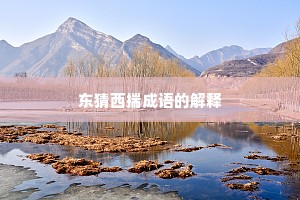 东猜西揣成语的解释