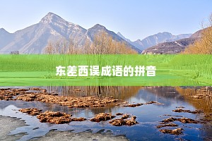 东差西误成语的拼音