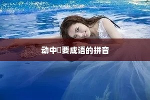 动中窾要成语的拼音
