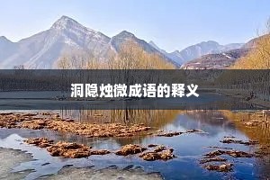 洞隐烛微成语的释义