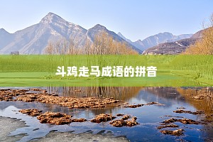 斗鸡走马成语的拼音