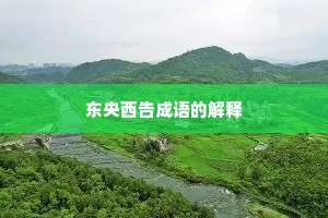 东央西告成语的解释