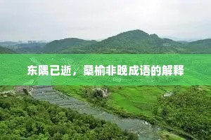 东隅已逝，桑榆非晚成语的解释
