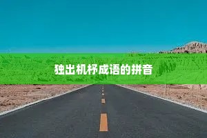 独出机杼成语的拼音