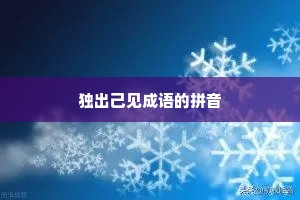 独出己见成语的拼音