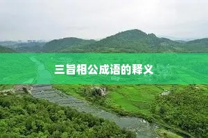 三旨相公成语的释义