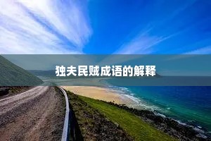 独夫民贼成语的解释