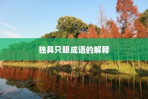 独具只眼成语的解释