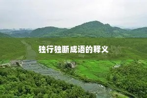 独行独断成语的释义