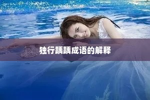 独行踽踽成语的解释