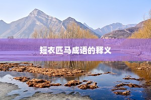 短衣匹马成语的释义