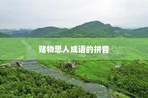 赌物思人成语的拼音