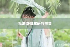 杜渐防微成语的拼音
