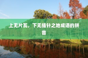 上无片瓦，下无插针之地成语的拼音