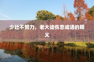 少壮不努力，老大徒伤悲成语的释义