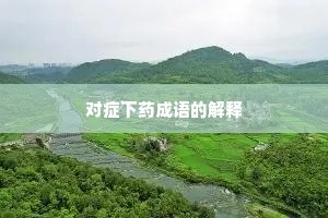 对症下药成语的解释