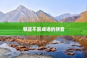 顿足不前成语的拼音