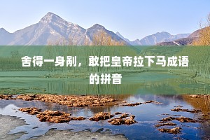 舍得一身剐，敢把皇帝拉下马成语的拼音