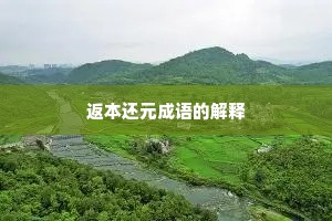 返本还元成语的解释