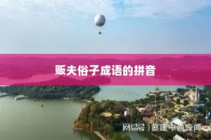 贩夫俗子成语的拼音