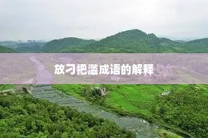 放刁把滥成语的解释