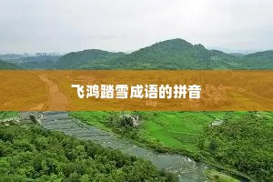 飞鸿踏雪成语的拼音