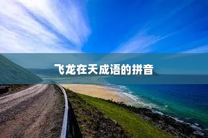飞龙在天成语的拼音