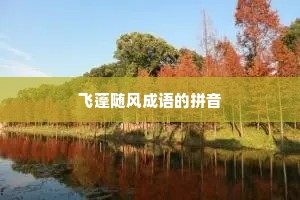 飞蓬随风成语的拼音