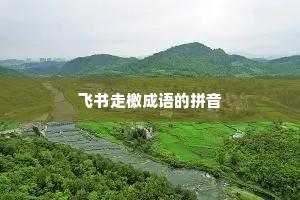 飞书走檄成语的拼音