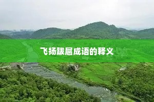 飞扬跋扈成语的释义