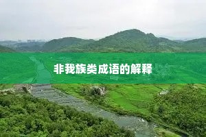 非我族类成语的解释