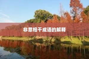 非意相干成语的解释