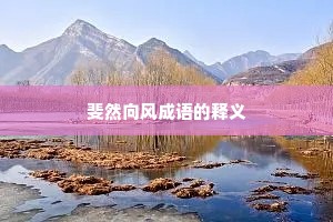 斐然向风成语的释义