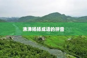 沸沸扬扬成语的拼音