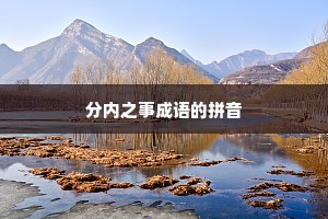 分内之事成语的拼音