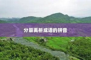 分崩离析成语的拼音