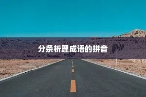 分条析理成语的拼音