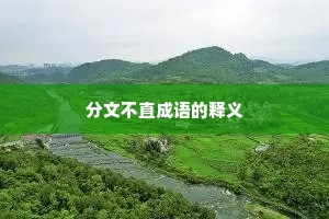 分文不直成语的释义