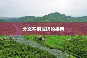 分文不值成语的拼音