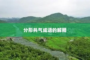 分形共气成语的解释