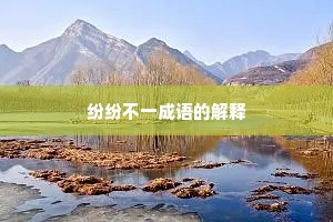 纷纷不一成语的解释