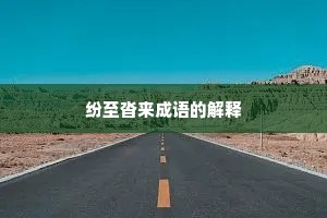 纷至沓来成语的解释