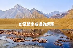 纷至踏来成语的解释